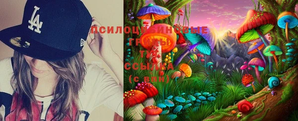 тгк Бугульма
