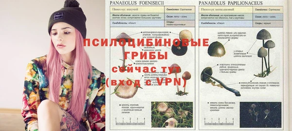 гидропоника Бронницы