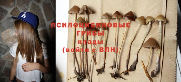 гидропоника Бронницы