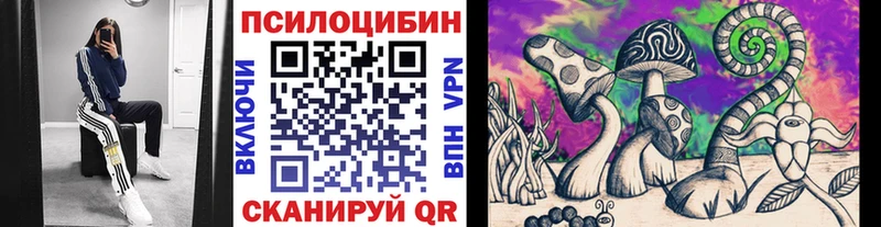 Псилоцибиновые грибы прущие грибы  Афипский 